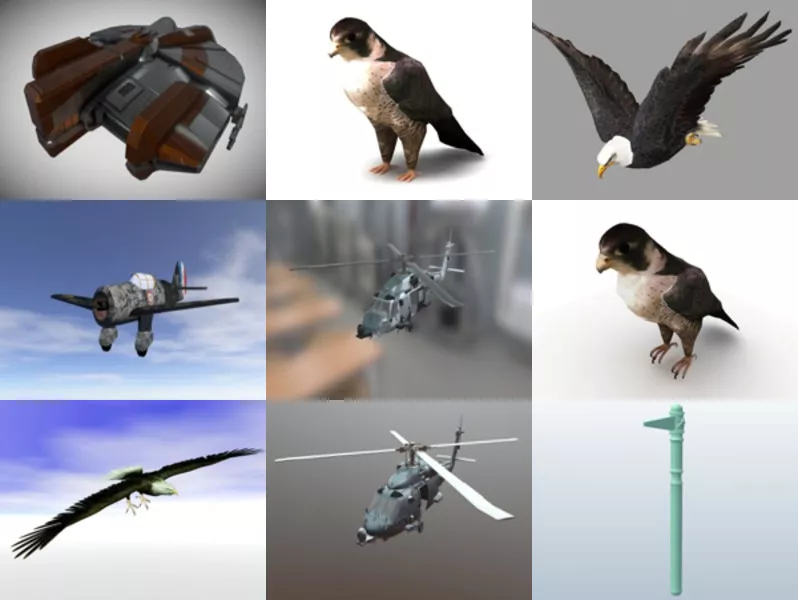 Top 9 Hawk 3D Models Newest 2022