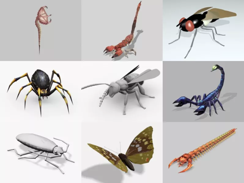 Top 9 Free 3D Insect Models for Design Newest 2022