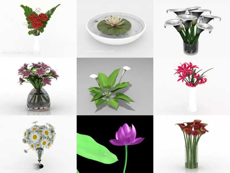 Top 9 Lily 3D Models Newest 2022