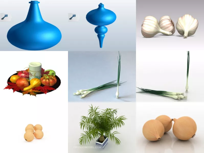 Top 9 Onion 3D Models Resources Most Recent 2022