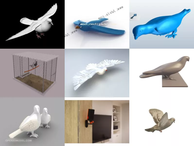 Top 9 Pigeon 3D Models for Design Most Recent 2022