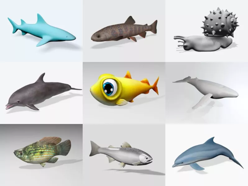 Top 11 Free 3D Aquatic Animal Models for Design Latest 2022
