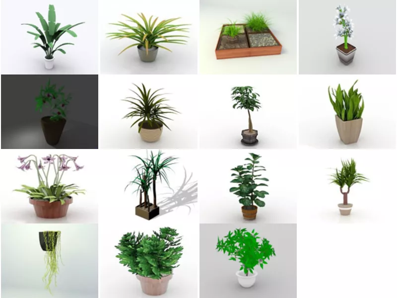 Top 15 Free 3D Indoor Plants Models for Rendering Newest 2022