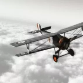 1914 Airplane 3d model