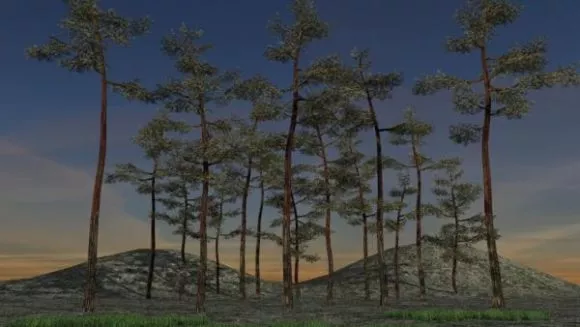 Pine Trees Landscape 3d model Pine Trees Landscape 3d model