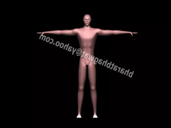 Angel Character Tinker Girl 3d model