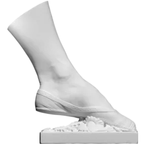 Anatomy Figurine Right Foot 3d model