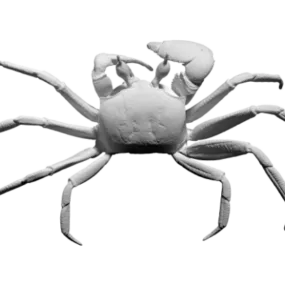 Animal Figurine Crab Animal 3d model