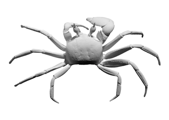Animal Figurine Crab Animal 3d model Animal Figurine Crab Animal 3d model