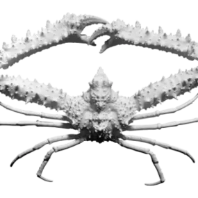 Animal Figurine Elbow Crab 3d model