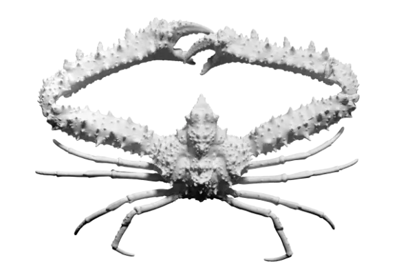Scan Of Reef Crab Animal 3d model