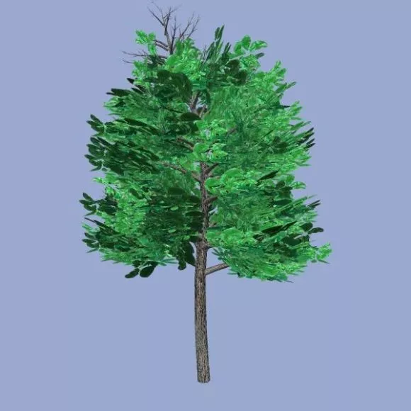 Painted Tree 3d model Painted Tree 3d model