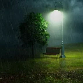 Rain In Forest With Tree, Lamp 3d model