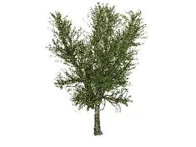 Fantasy Deadly Plant 3d model