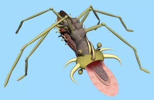 Alien Insect 3d model Alien Insect 3d model