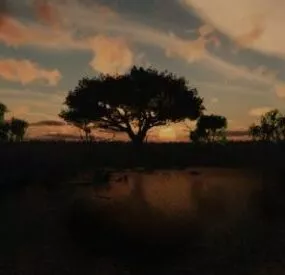Amazona Forest Landscape 3d model