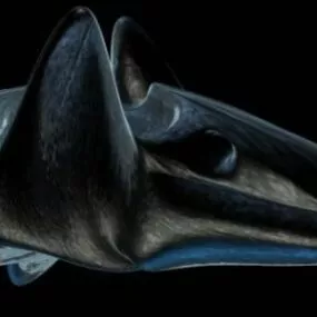 Alien Spaceship Animal Shape 3d model