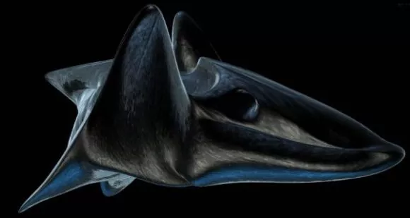 Tie Bomber Spaceship 3d model