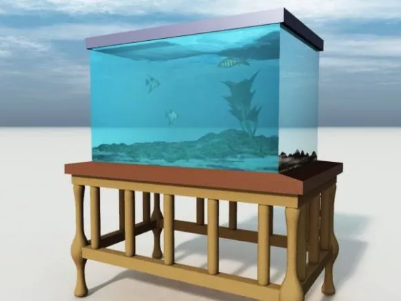 Deep Sea Fish With Lighting Front Head 3d model