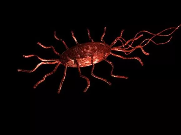 Bacterium Virus Spiny Slug 3d model