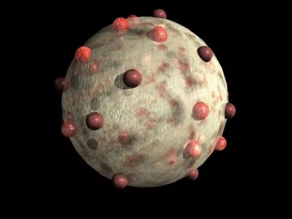 Bacterium Virus Cyst Pustule 3d model Bacterium Virus Cyst Pustule 3d model
