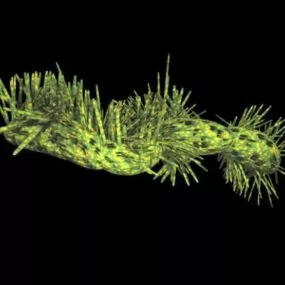 Micro Bacterium 3d model