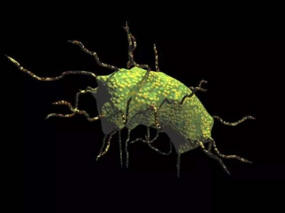 Bacterium Virus Spiny Slug 3d model Bacterium Virus Spiny Slug 3d model