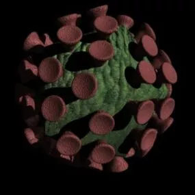 Bacterium Virus Animal 3d model