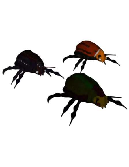 Beetle Animal Set 3d model Beetle Animal Set 3d model