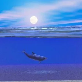 Ocean Landscape At Moon Night 3d model