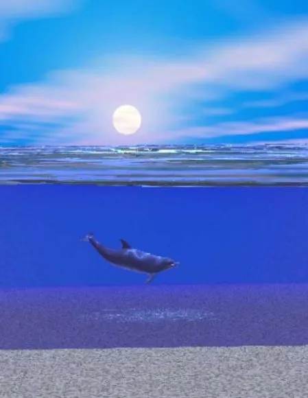 Ocean Landscape At Moon Night 3d model Ocean Landscape At Moon Night 3d model