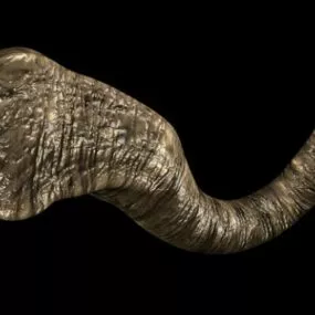 Big Mouth Worm Animal 3d model