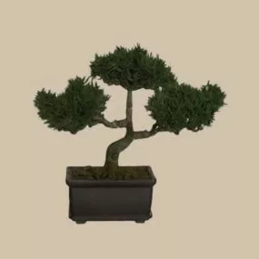 Japanese Bonsai Decoration 3d model