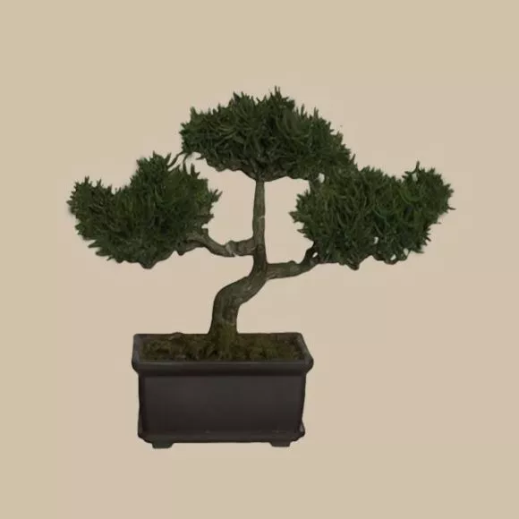 Leaf Plant In Porcelain Vase 3d model