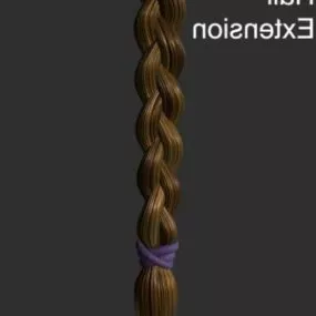 Braided Hair 3d model