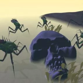 Bug With Skull 3d model
