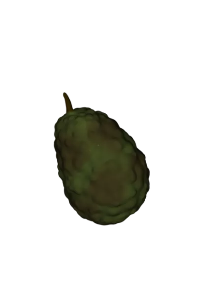 Bumpy Fruit Food 3d model Bumpy Fruit Food 3d model