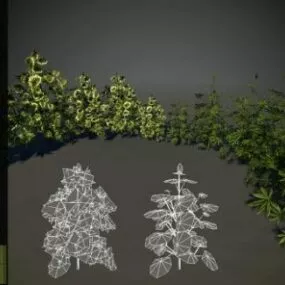 Christmas Tree Cannabis 3d model
