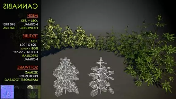 Christmas Tree With Gift Boxes 3d model