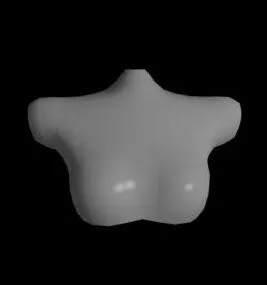Mannequin Body Part 3d model