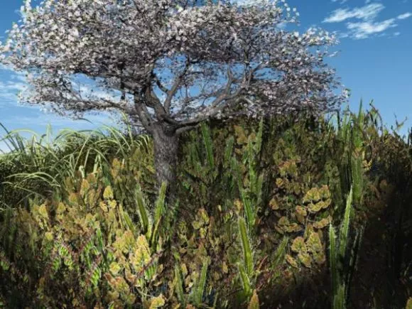 Cherry Tree On Hill Landscape 3d model Cherry Tree On Hill Landscape 3d model