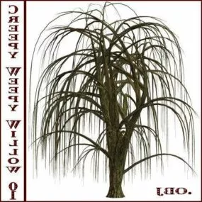 Creepy Weepy Willow Tree 3d model