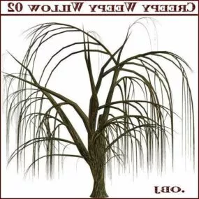 Winter Willow Tree 3d model