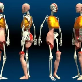 Cyborg Character 3d model