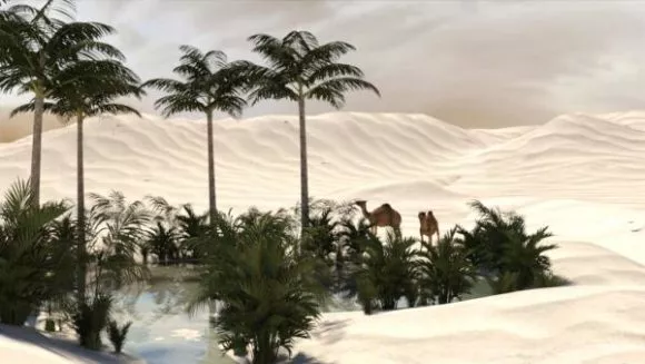 Tropical Desert Oasis Landscape With Coconut 3d model Tropical Desert Oasis Landscape With Coconut 3d model