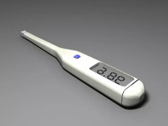 Modern Digital Thermometer 3d model Modern Digital Thermometer 3d model