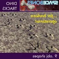 Dinosaur Track 3d model