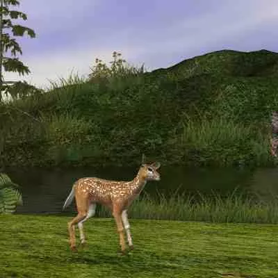 Sunset On Rock Mountain 3d model