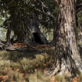 Large Tree In Jungle 3d model