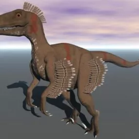 Wild Velociraptor Dinosaur 3d model